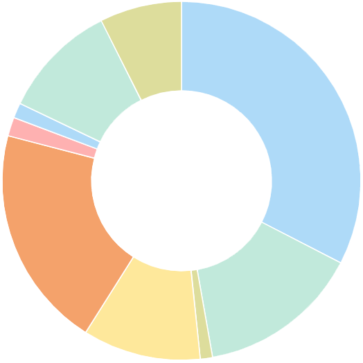 Illustration of a multicolored donut chart
